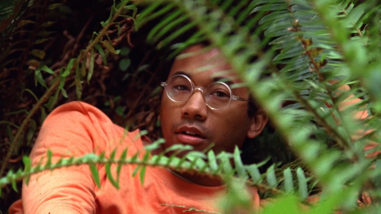 Toro y Moi