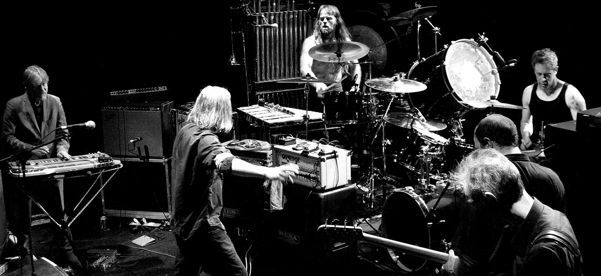 Swans