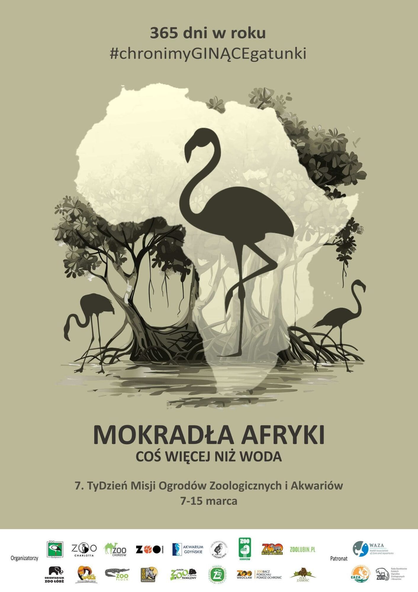 Dzień Misji ZOO 11 marca. Jak obchodził go wrocławski ogród?