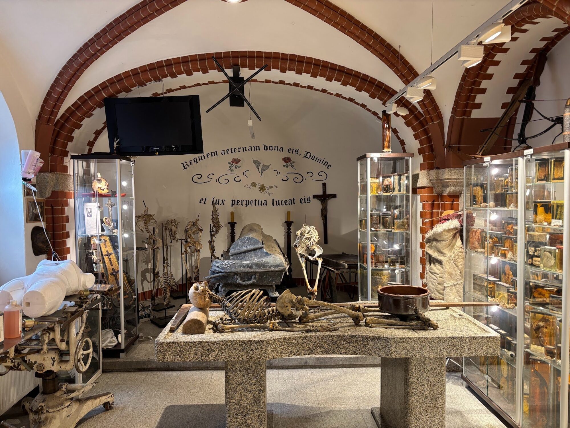 Czego uczą nas zmarli? Muzeum medycyny sądowej: gdzie historia mówi przez dowody