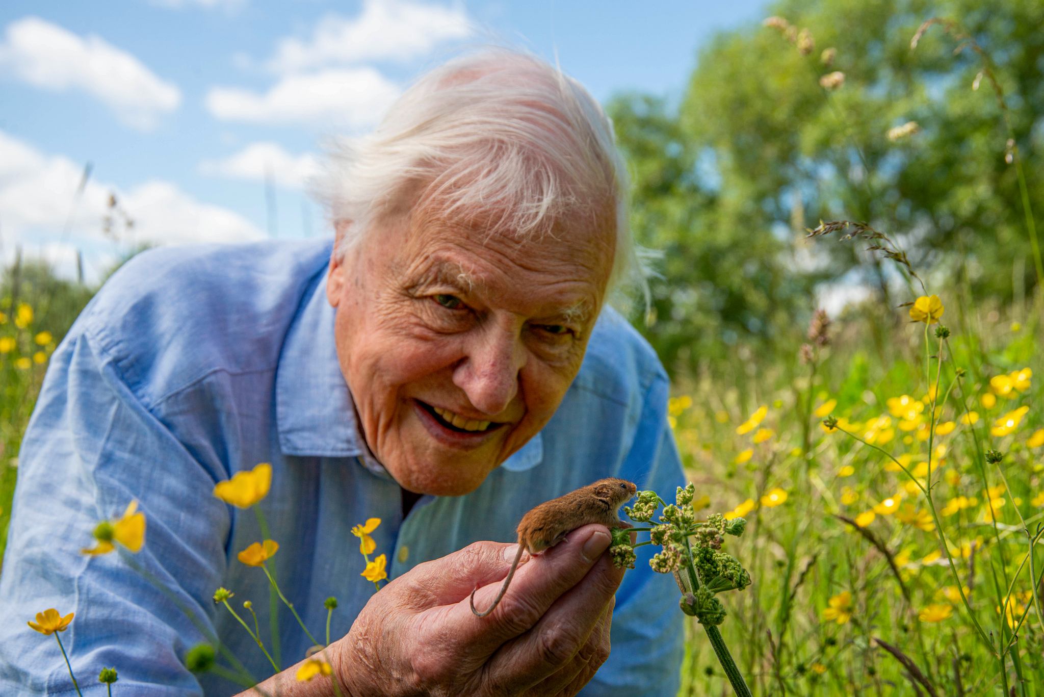 David Attenborough kończy 100 lat!